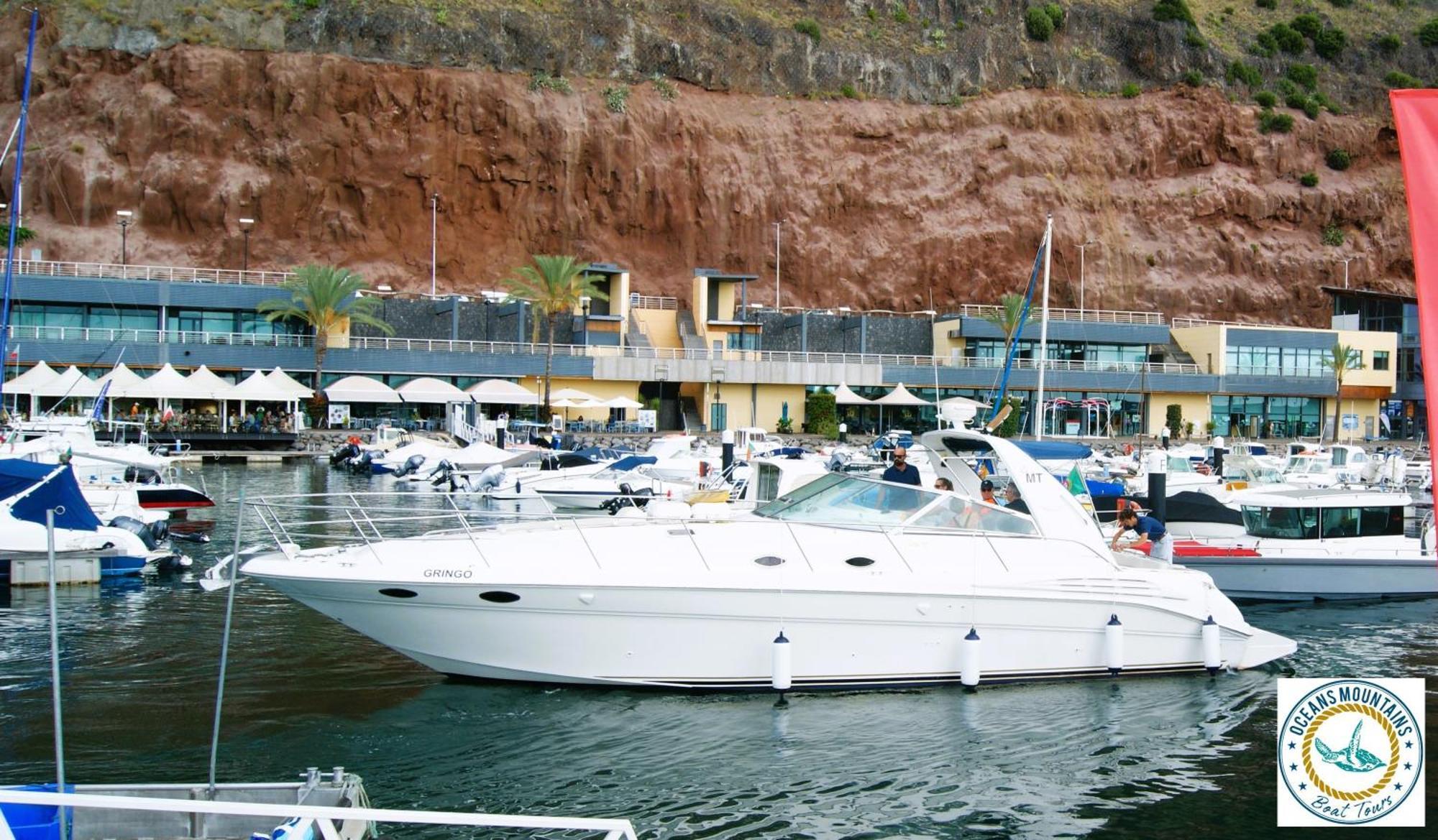 Casa Da Avo Irene Villa Funchal  Eksteriør billede